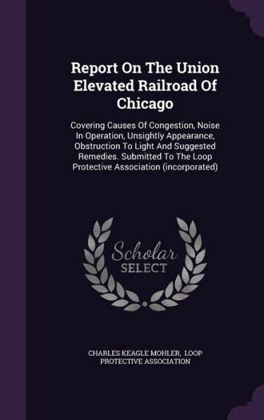 Report on the Union Elevated Railroad of Chicago Covering Causes of Congestion Epub