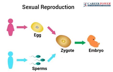 Reproduction