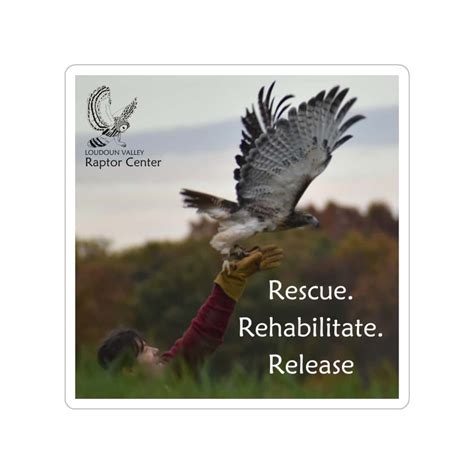 Rescue and Rehabilitate: