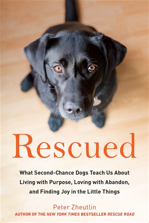 Rescued What Second-Chance Dogs Teach Us About Living with Purpose Loving with Abandon and Finding Joy in the Little Things Kindle Editon