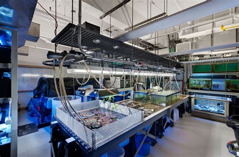 Research Hub for Marine Scientists