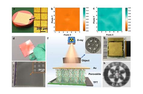 Researchers Investigate the Potential Benefits of a Novel Compound