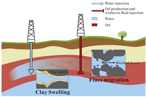 Reservoir Formation Damage Doc