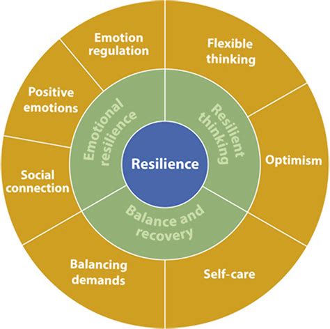 Resilience Capital: Your 7-Figure Shield Against Life's Surprises