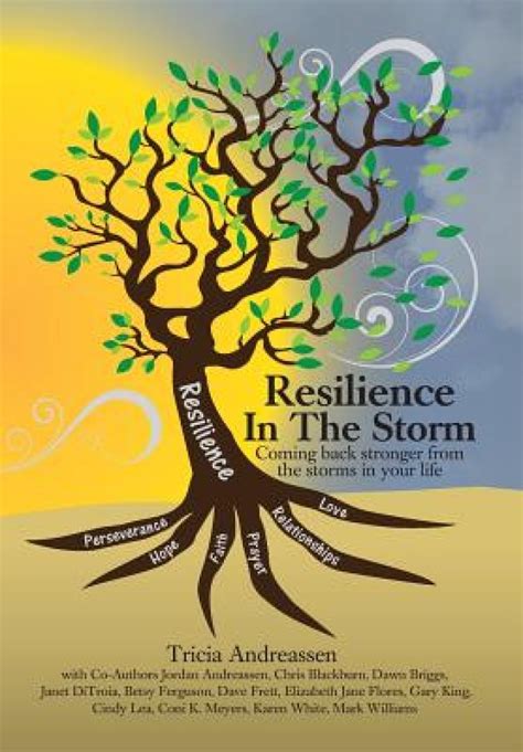 Resilience In The Storm Coming Back Stronger From The Storms In Your Life Reader