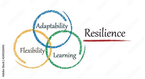 Resilience and Flexibility: