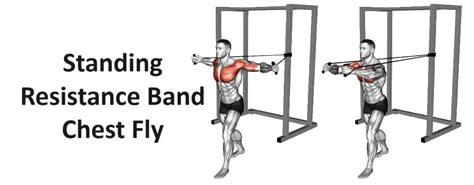 Resistance Band Training for Chest Development: A Comprehensive Guide