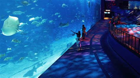 Resorts World Sentosa Sea Aquarium: 10,000 Marine Wonders Under One Roof