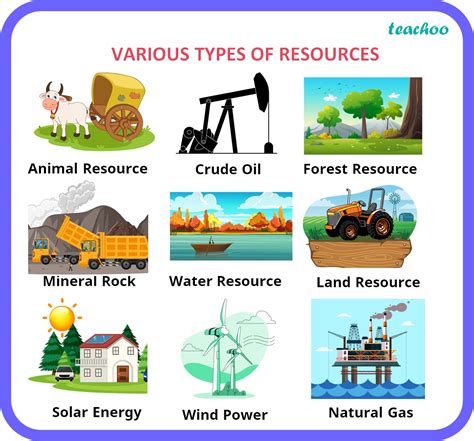 Resource Type