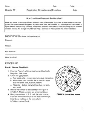 Respiration Circulation And Excretion Answer Key PDF