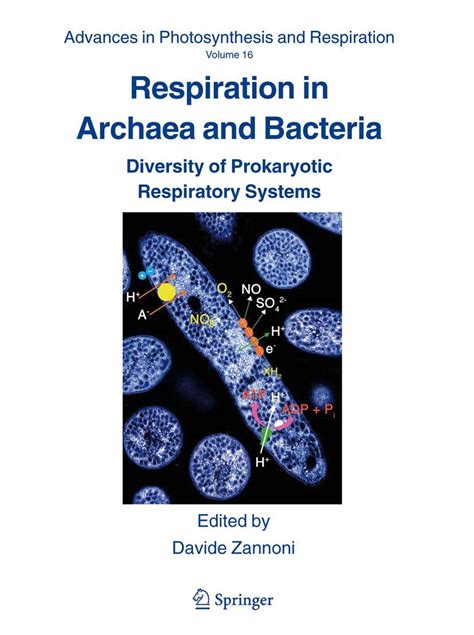 Respiration in Archaea and Bacteria Diversity of Prokaryotic Respiratory Systems 1st Edition Kindle Editon