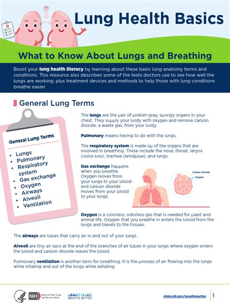 Respiratory Disease Fact Chart Answer Key Doc