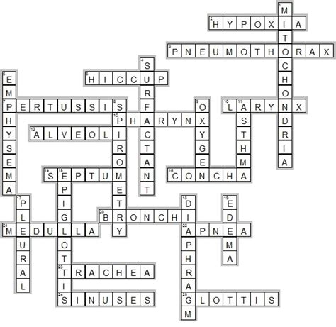 Respiratory System Crossword Answers PDF