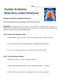 Respiratory System Webquest Answers Reader