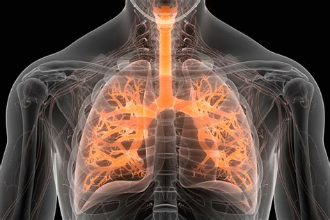 Respiratory medicine: