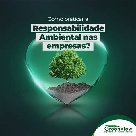 Responsabilidade Ambiental: O Futuro da Sua Empresa