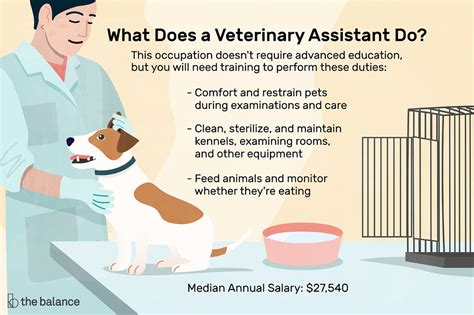 Responsibilities and Duties of a Veterinary Assistant