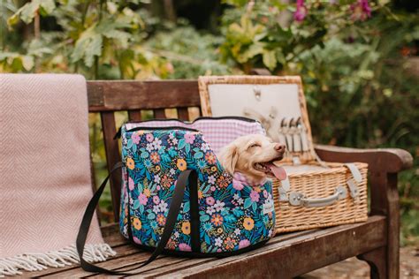 Restaurants That Take Dogs: A Tail-Wagging Guide to Dining with Your Furry Friend