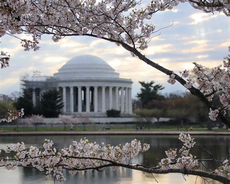 Reston, VA: An Intellectual Powerhouse with 9,874 Reasons to Flourish