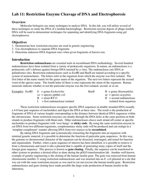 Restriction Enzyme Cleavage Of Dna Lab Answers PDF