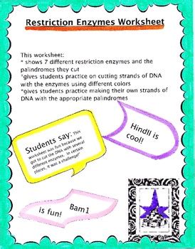 Restriction Enzyme Practice Problems And Answers Reader