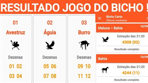 Resultado do Jogo do Bicho BA: Guia Completo para os Resultados da Bahia