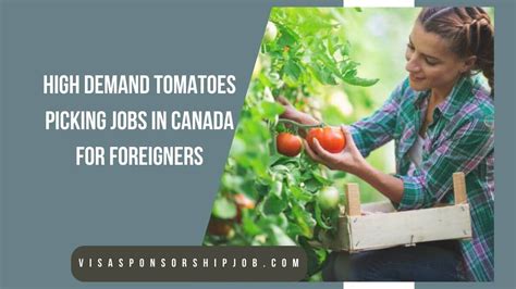 Retail Jobs in Canada for Foreigners: A Path to 2025 and Beyond!