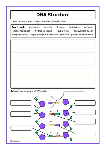 Reteaching Idea Map Dna Changes Answers Reader