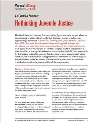 Rethinking Juvenile Justice PDF