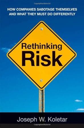 Rethinking Risk: How Companies Sabotage Themselves and What They Must Do Differently Reader