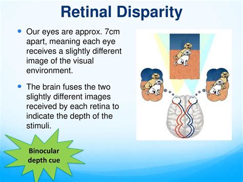 Retinal Disparity: The Key to Depth Perception