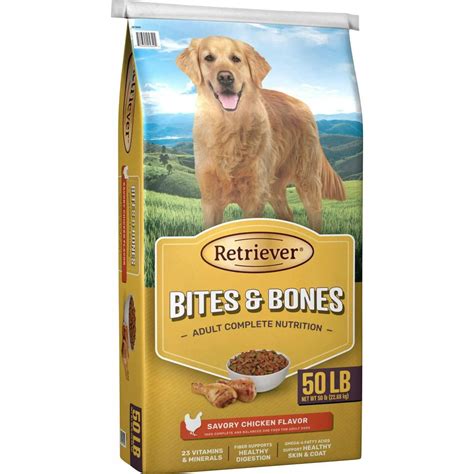 Retriever Bites and Bones: A Complete Guide to Canine Safety