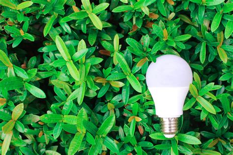 Retrofit LED Lights: An Energy-Efficient Upgrade That'll Save You 50%