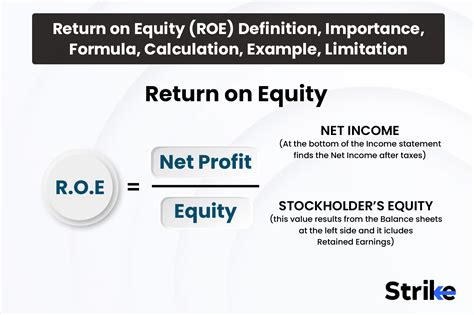 Return on Owner's Equity (ROE) Calculator: Accurately Measure Your Investment's Success