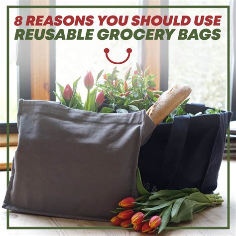 Reusable Grocery Tote Bags: 10,000 Reasons to Use Them