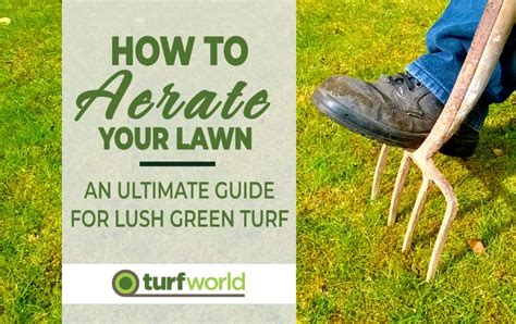 Revamp Your Lawn with Aeration Lawn Shoes: The Ultimate Guide to a Lush, Healthy Paradise