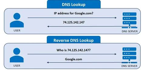 Reverse Lookup: