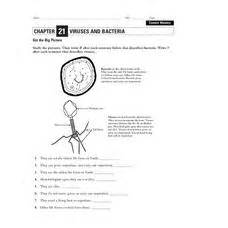 Review Bacteria And Viruses Answer Key Doc