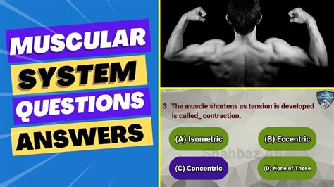 Review Questions And Answers The Muscular System Doc