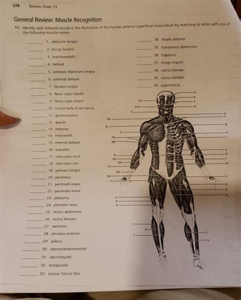 Review Sheet 13 Answers Reader