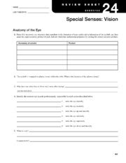 Review Sheet 24 Special Senses Vision Answers Reader