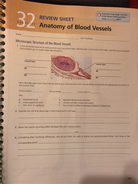 Review Sheet 32 Anatomy Of Blood Vessels Answers Reader