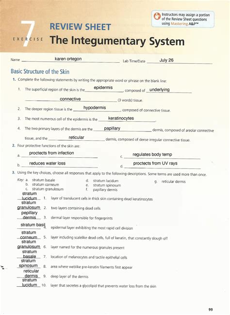 Review Sheet 7 The Integumentary System Answers Reader