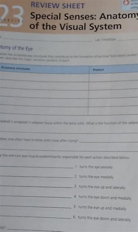 Review Sheet Answers The Special Senses Kindle Editon