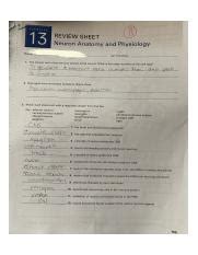 Review Sheet Exercise 13 Answers Kindle Editon