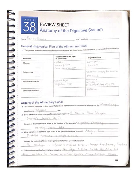 Review Sheet Exercise 38 Anatomy Of The Digestive System Answer Key Epub