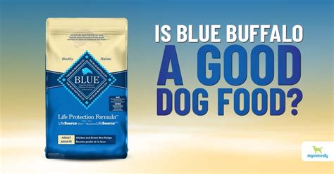 Review of Blue Buffalo Dog Food: Everything You Need to Know