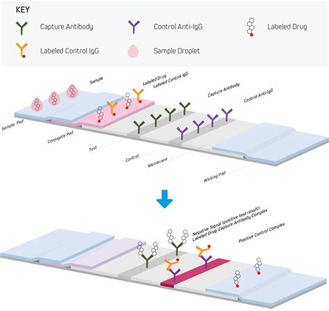 Reviews of Immunoassay PDF