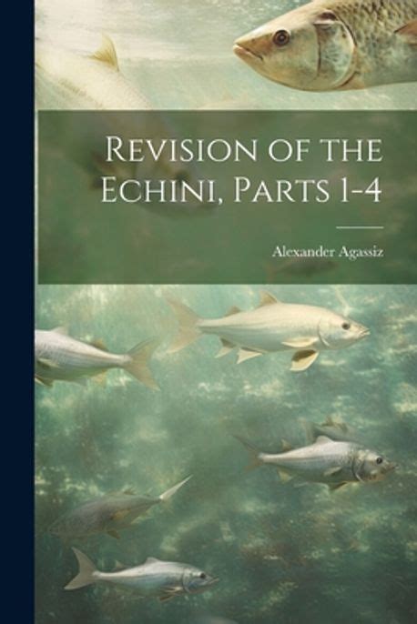 Revision of the Echini Volume 7 Doc