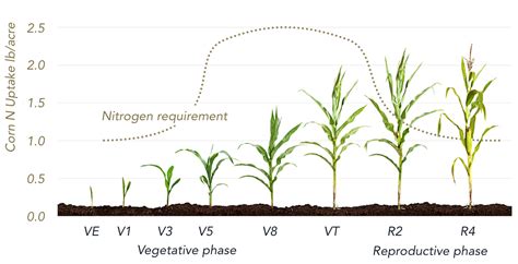 Revive Fertilizer: A Revolutionary Solution for Agricultural Productivity